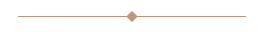 Golden horizontal line with a centered diamond-shaped used at Polonia Palace Hotel
